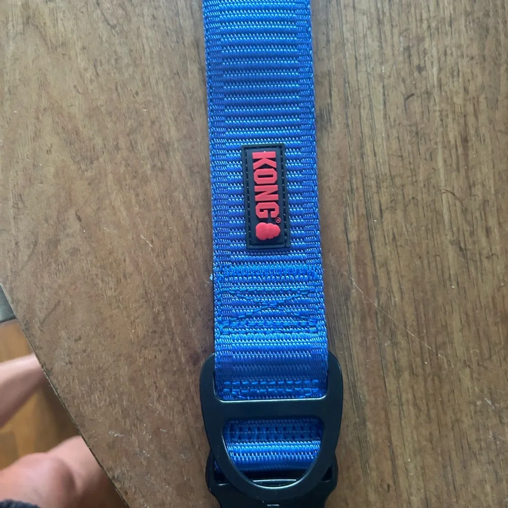Kong Blue xl collar brand new